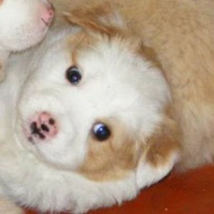 Meet your Posher, Jacqueline